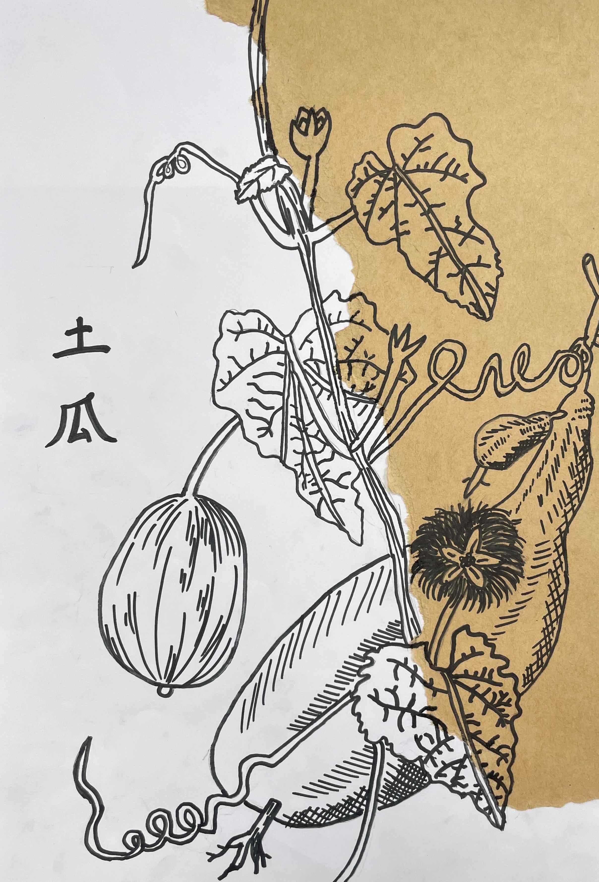 中医药作品43.jpg