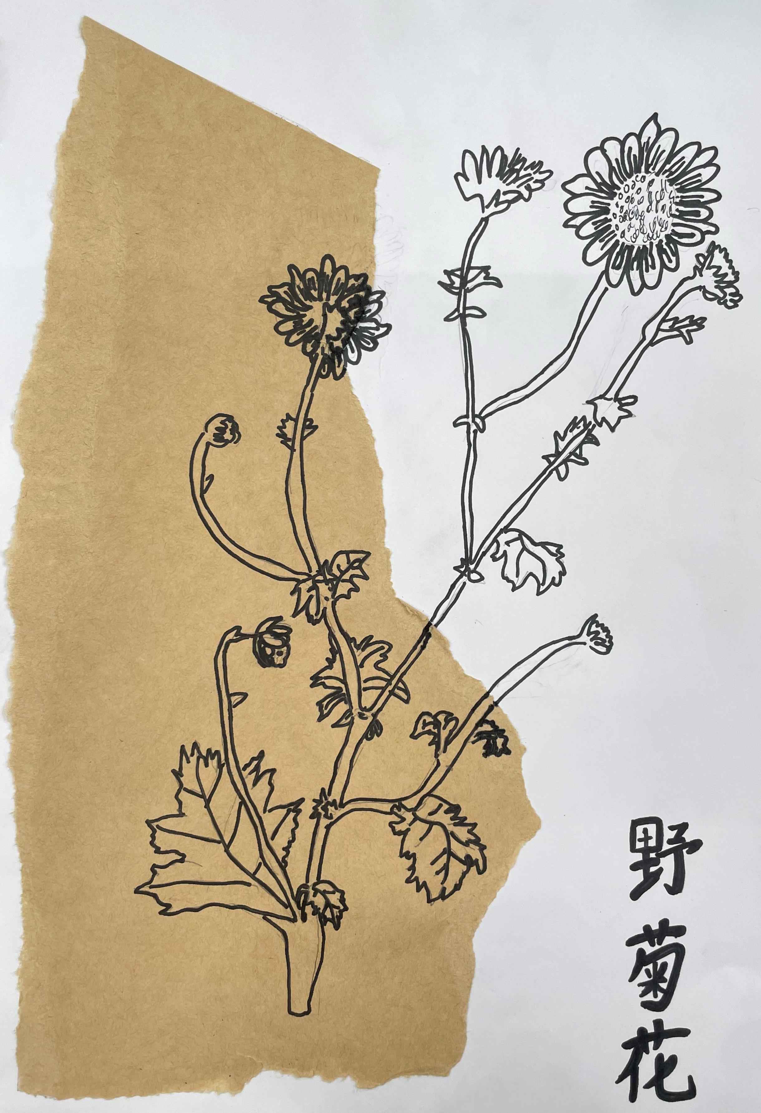 中医药作品56.jpg