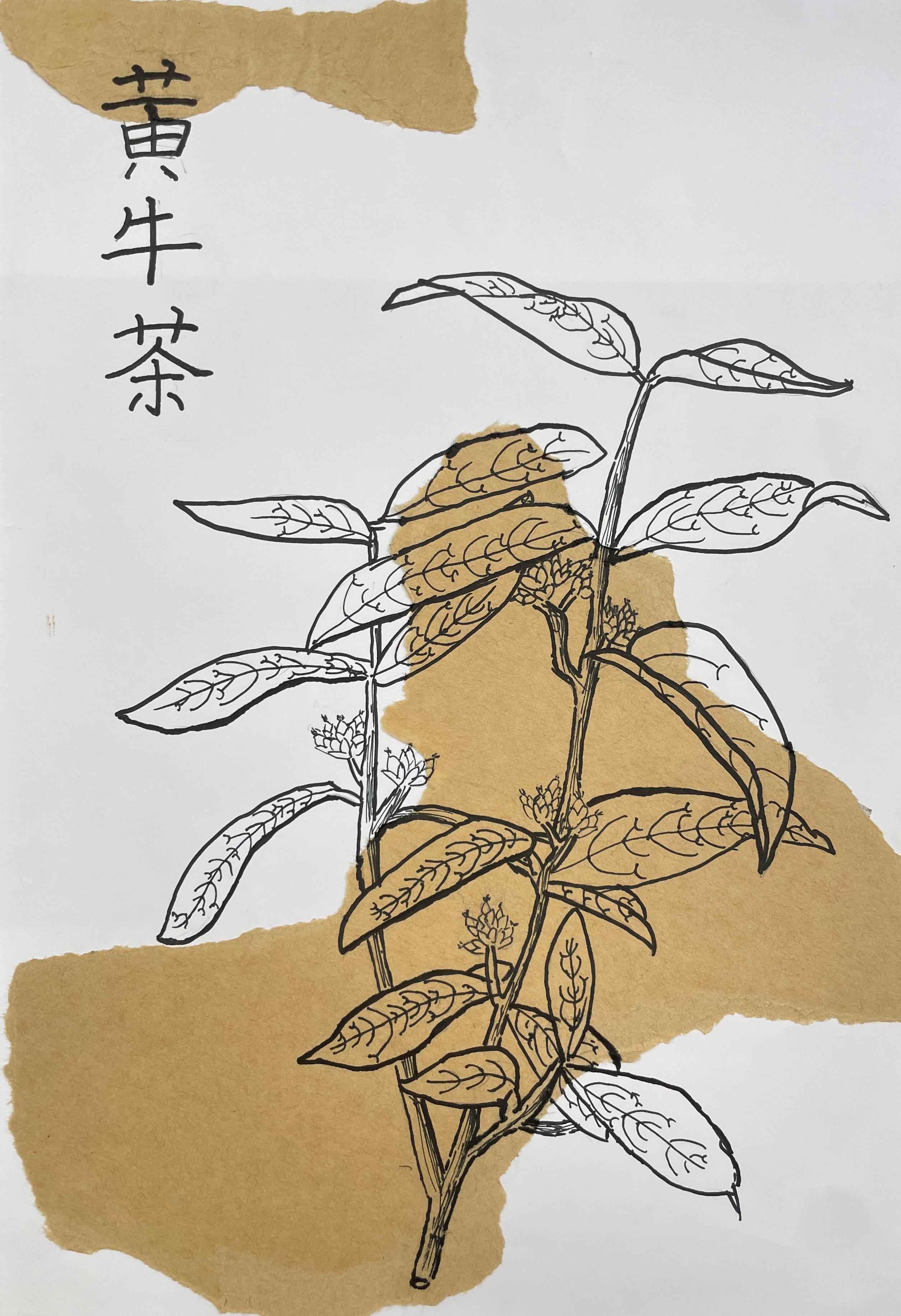 中医药作品23.jpg