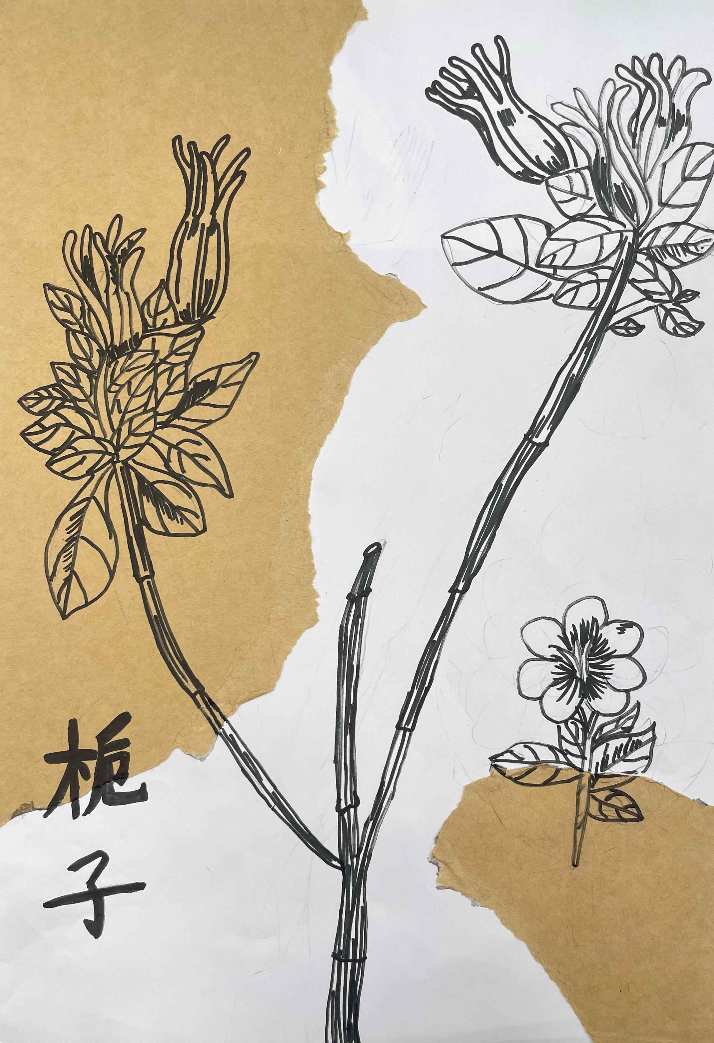 中医药作品54.jpg