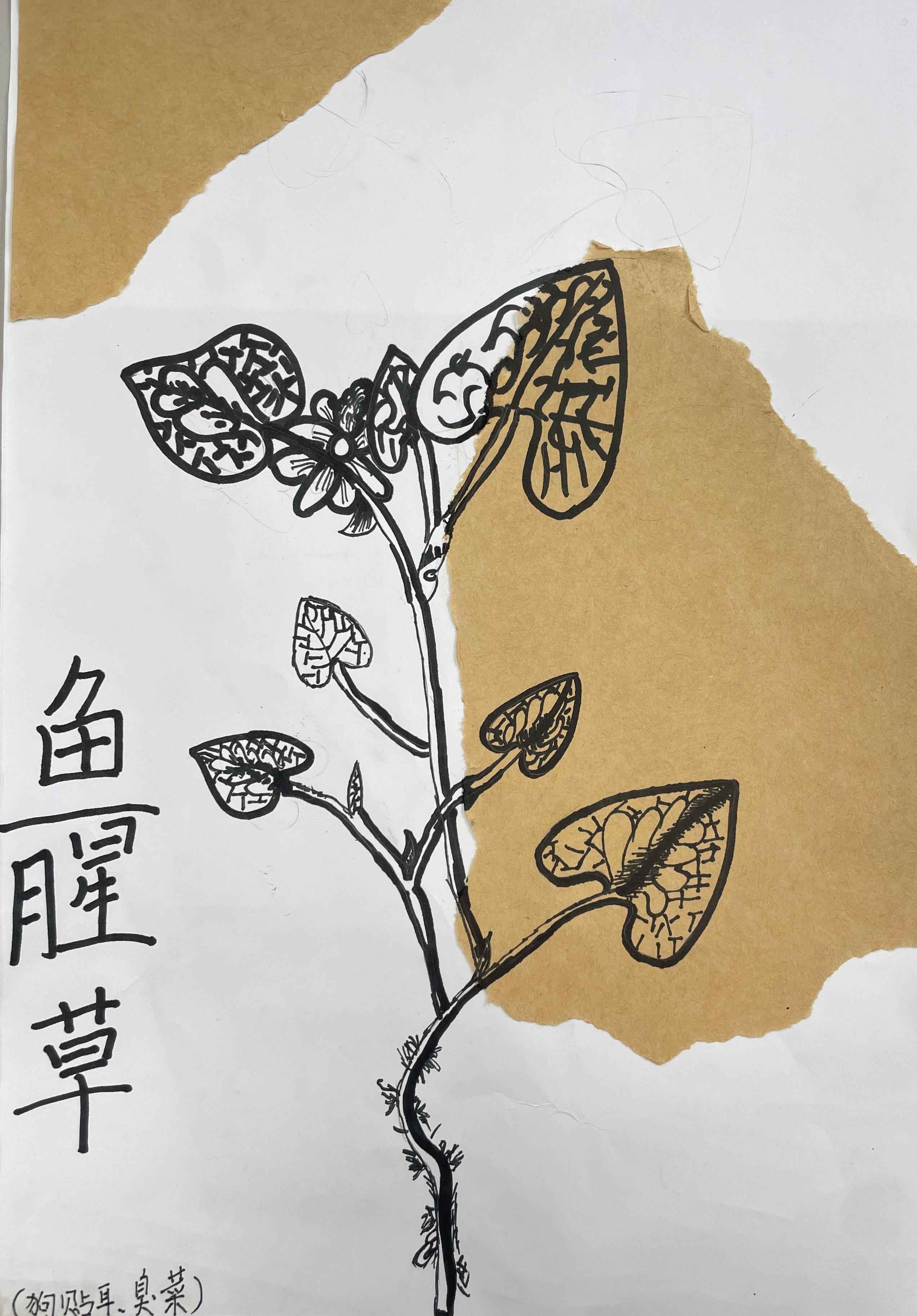 中医药作品14.jpg