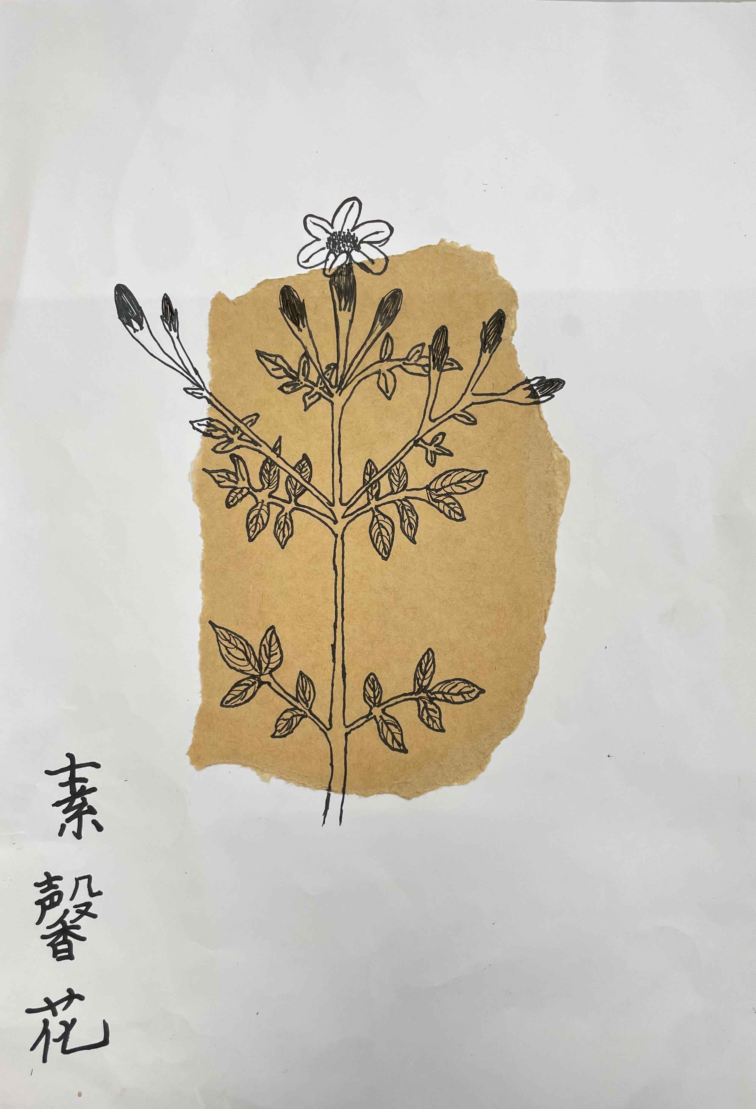 中医药作品11.jpg