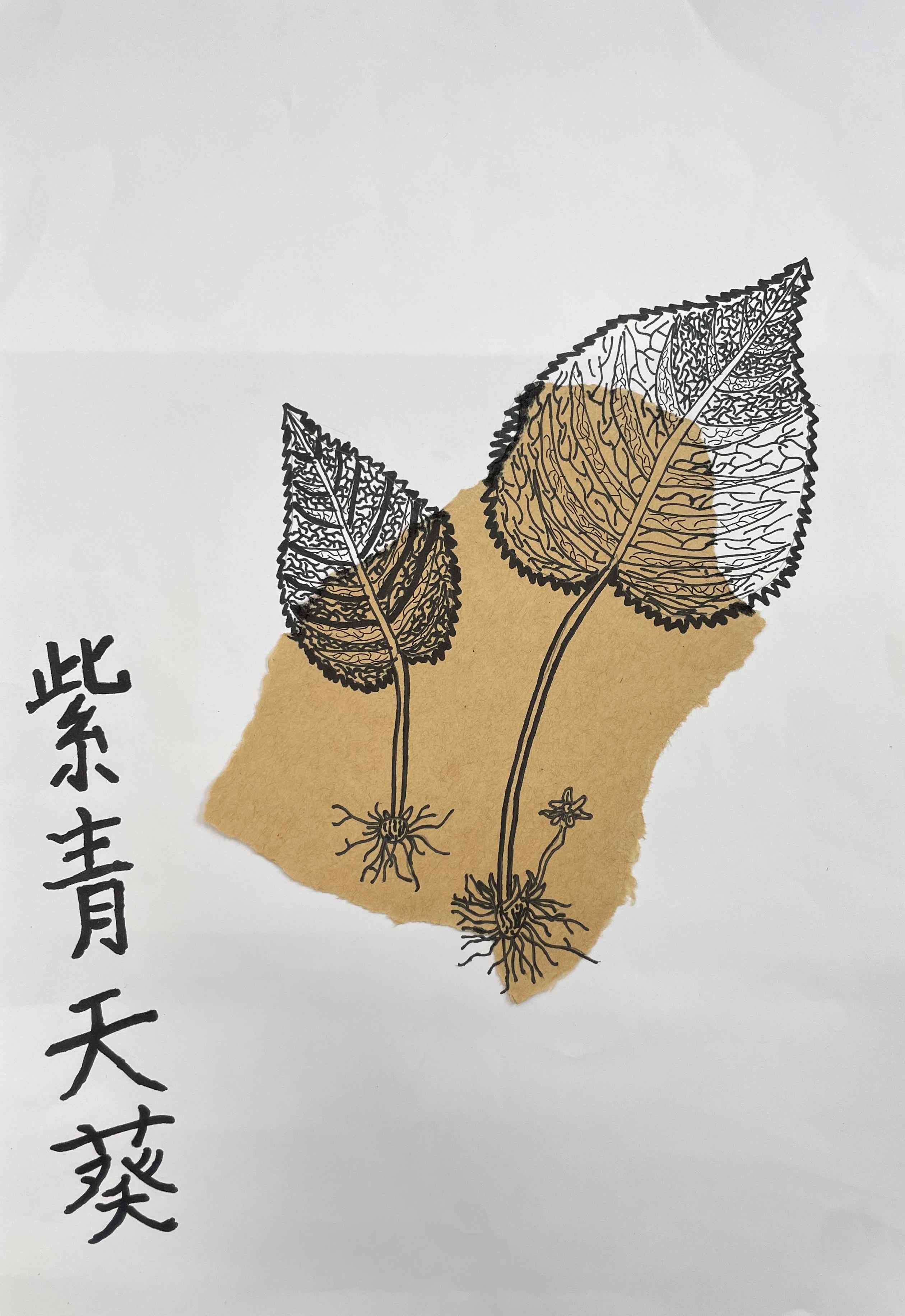 中医药作品15.jpg