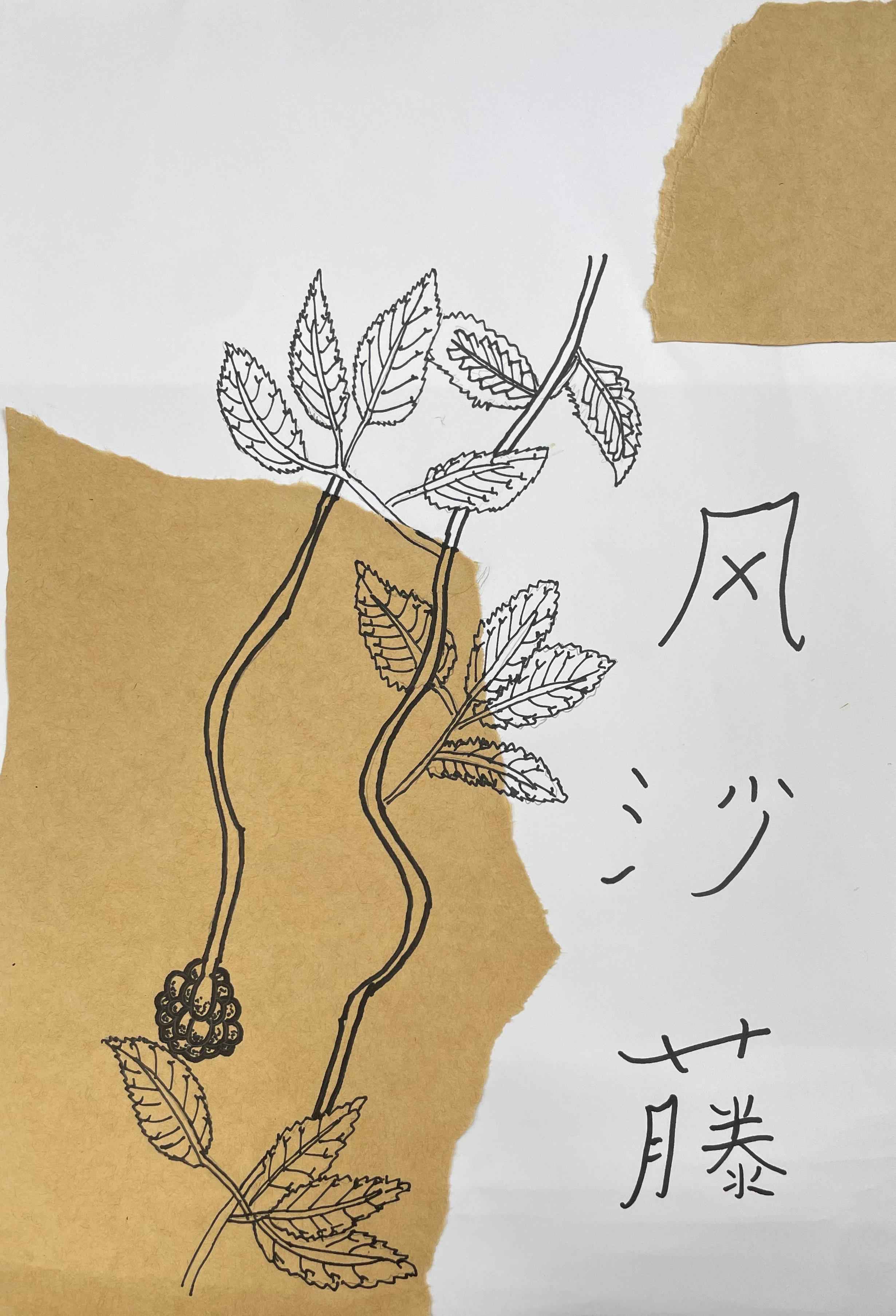 中医药作品28.jpg