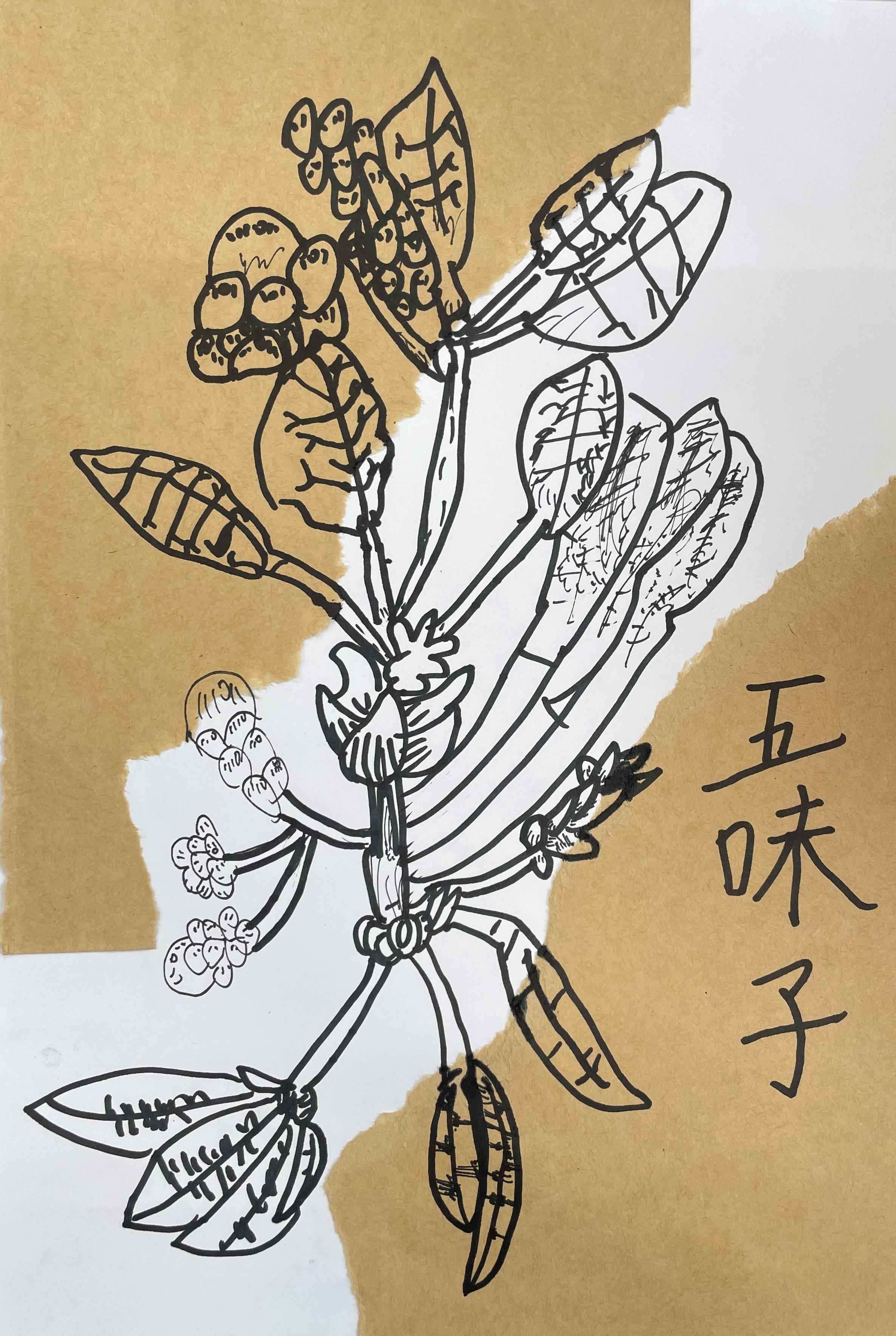 中医药作品74.jpg