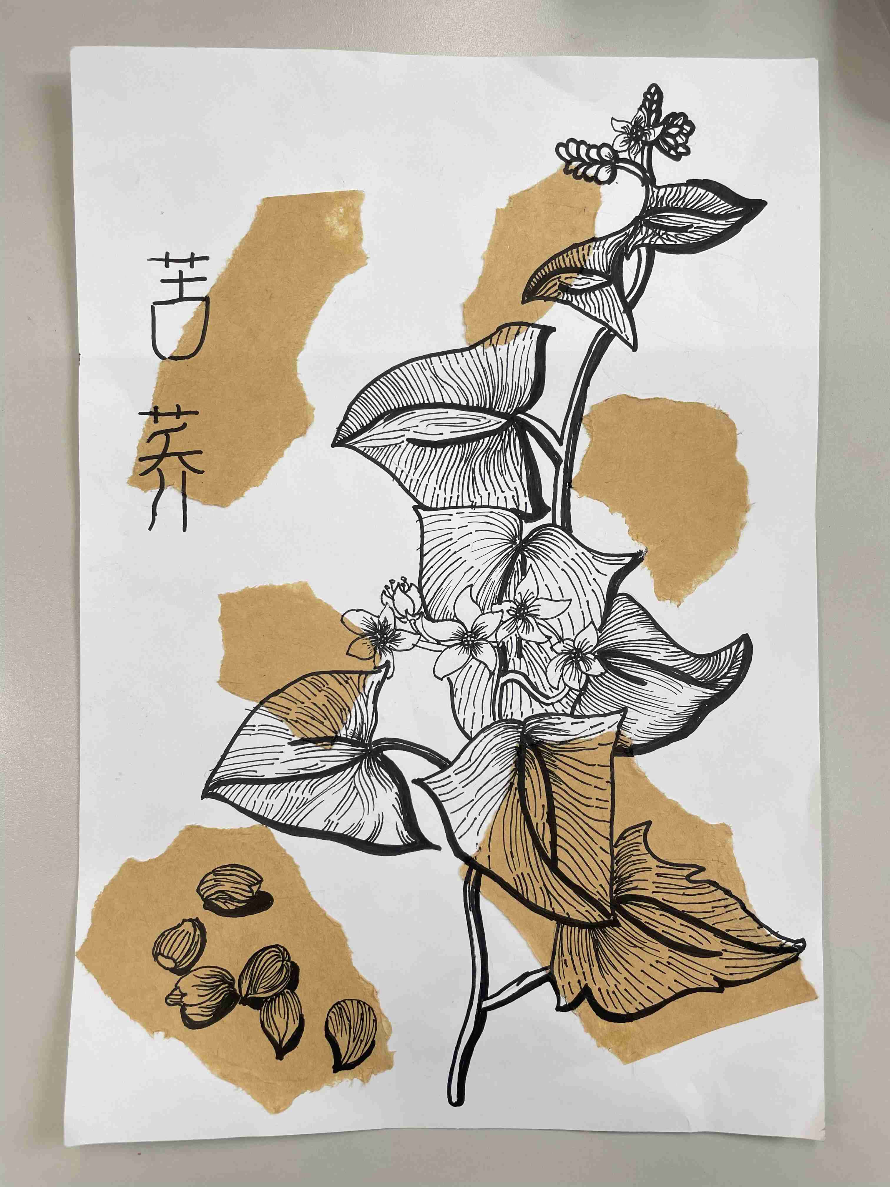 中医药作品1.jpg